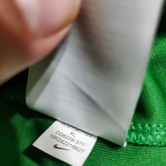 Nike Dri-FIT Oregon Ducks hoodie
